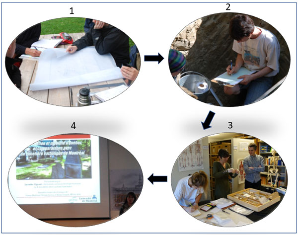 Phases générales du travail bioarchéologique