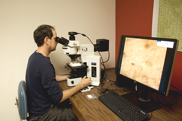 : Observation de microtraces d’usure sur un artéfact en os à l’aide d’un microscope métallographique à fort grossissement