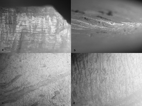 Microtraces d’utilisation sur des tiges en os.