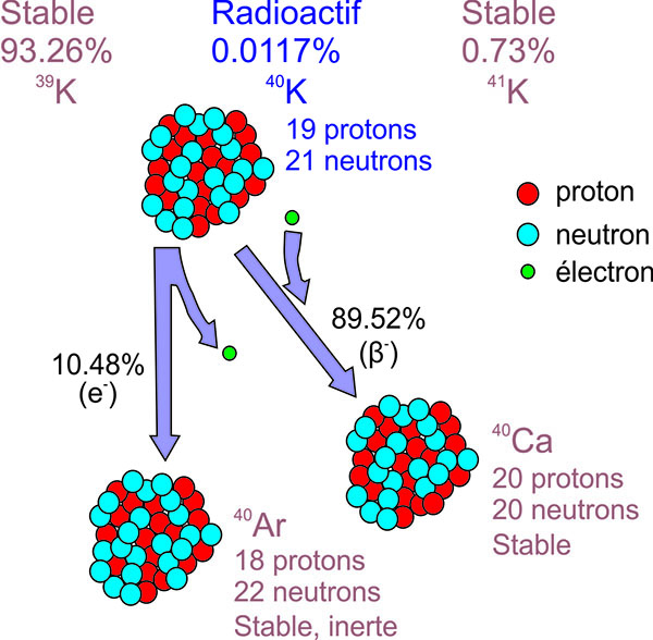 Désintégration radioactive du potassium 40