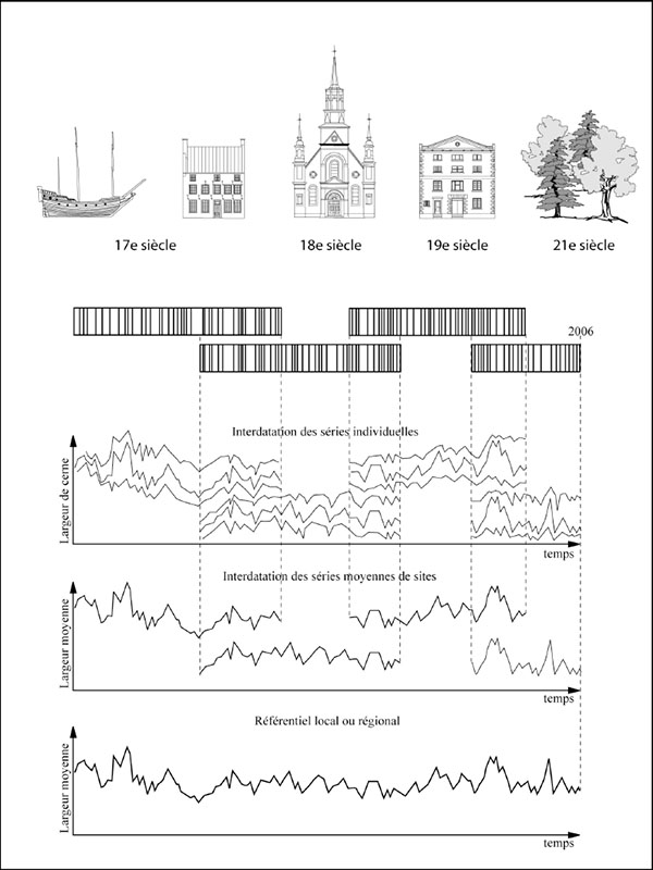 Construction d’une chronologie de référence par recoupement des séries mesurées sur des bois provenant de sites archéologiques, de constructions anciennes et d’arbres vivants. 