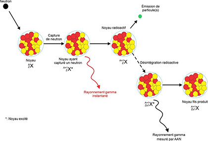 méthode d’analyse par activation neutronique 