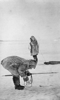 Nippatuq (mot inuktitut qui signifie : « Quelqu’un qui attend à un trou de respiration »), chasse aux phoques sur la glace (Kuujjuaraapik, 1860s)
