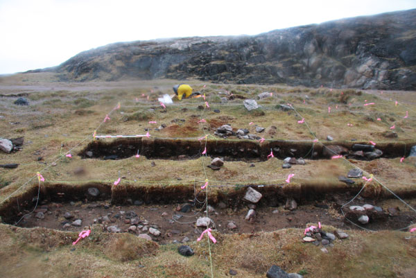 Fouille archéologique d’une structure d’habitation circulaire dorsétienne près d’Ivujivik