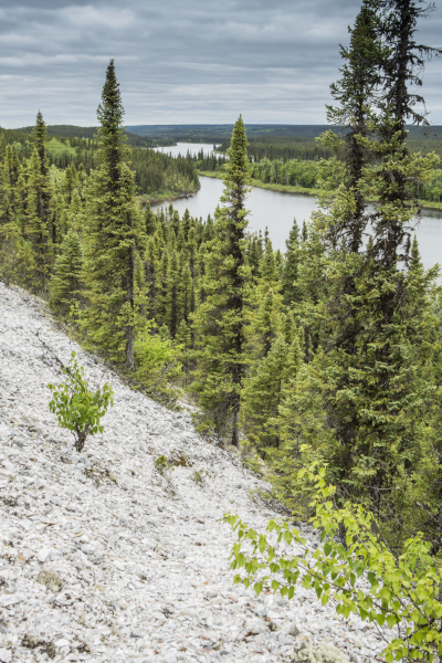 Rivière Témiscamie