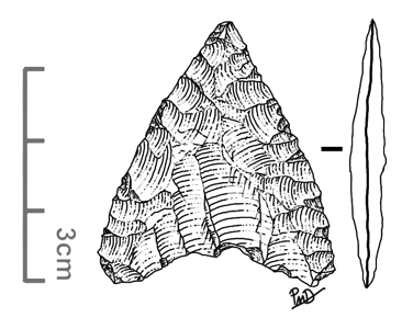 Pointe de projecitle