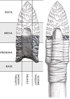 Pointes De Flèches De L'illustration De Cru En âge De Pierre